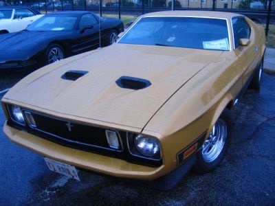 2010 Berwyn Cruise Nites
