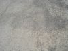 Filename=DSC00158.JPG
Filesize=328KiB
Dimensions=1000x750
Date added=Nov 17, 2011 DSC00158.JPG
