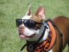 Filename=DSC00009.JPG
Filesize=204KiB
Dimensions=1000x750
Date added=Nov 17, 2011 DSC00009.JPG