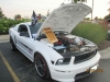 Filename=Romeoville_Crusie_Nites2812129.JPG
Filesize=149KiB
Dimensions=1600x1200
Date added=Oct 28, 2019 Romeoville_Crusie_Nites2812129.JPG