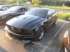 Filename=Romeoville_Crusie_Nites2815029.JPG
Filesize=147KiB
Dimensions=1600x1200
Date added=Oct 28, 2019 Romeoville_Crusie_Nites2815029.JPG