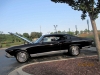 Filename=Romeoville_Crusie_Nites285429.JPG
Filesize=146KiB
Dimensions=1600x1200
Date added=Oct 28, 2019 Romeoville_Crusie_Nites285429.JPG