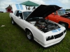 DSCN3391.JPG