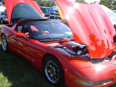 2011 Northlake Days Car Show
