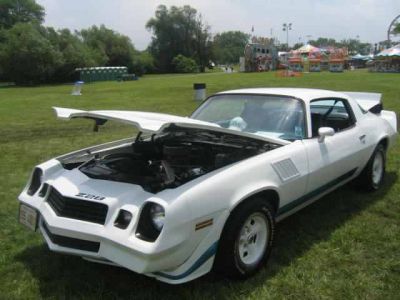 2010 Northlake Days Car Show
