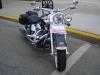 Filename=DSC00379.JPG
Filesize=120KiB
Dimensions=1000x750
Date added=May 27, 2015 DSC00379.JPG
