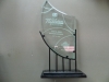 Filename=DSCN6417.JPG
Filesize=108KiB
Dimensions=1000x750
Date added=May 27, 2015 DSCN6417.JPG