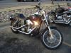 Filename=DSC00112.JPG
Filesize=284KiB
Dimensions=1000x750
Date added=Nov 17, 2011 DSC00112.JPG