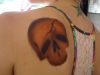Filename=DSC00299.JPG
Filesize=129KiB
Dimensions=1000x750
Date added=Nov 17, 2011 DSC00299.JPG