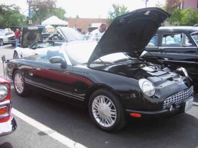 2010 Village of Oak Lawn Classic Car Show
