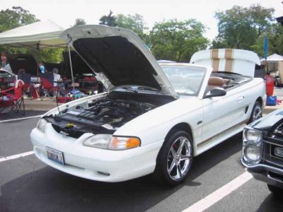 2010 Village of Oak Lawn Classic Car Show
