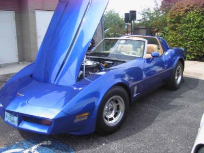 2010 Village of Oak Lawn Classic Car Show

