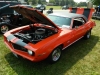 DSCN7030.JPG
