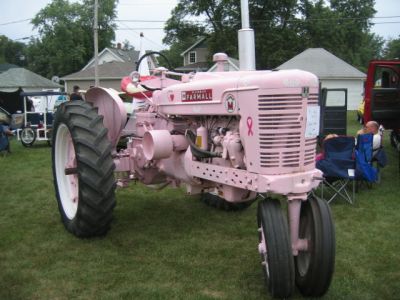2007 Beecher Lions Car Show
