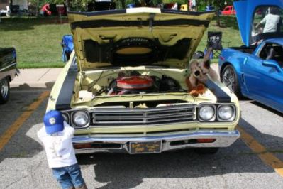 2008 Hobart's Dam Car Show
