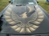 Filename=image016.jpg
Filesize=557KiB
Dimensions=2592x1944
Date added=Oct 23, 2012 image016.jpg