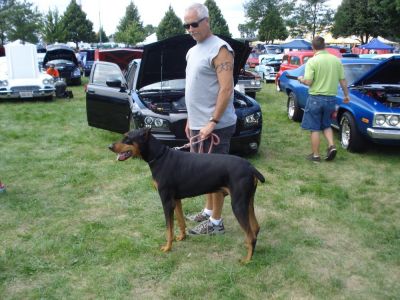 2011 Three Rivers Festival Car Show
