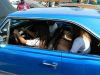Filename=image090.jpg
Filesize=550KiB
Dimensions=2592x1944
Date added=Oct 23, 2012 image090.jpg