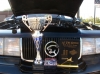 Filename=image358.jpg
Filesize=179KiB
Dimensions=1155x866
Date added=Nov 18, 2020 image358.jpg