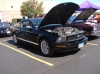 Filename=image084.jpg
Filesize=218KiB
Dimensions=1155x866
Date added=Nov 18, 2020 image084.jpg
