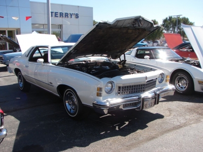 2020 Terry's Ford Car & Bike Show
