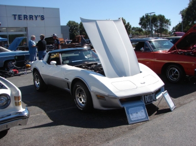 2020 Terry's Ford Car & Bike Show
