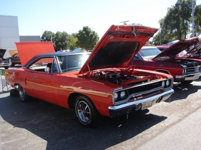 2020 Terry's Ford Car & Bike Show
