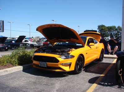 2020 Terry's Ford Car & Bike Show
