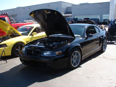 2020 Terry's Ford Car & Bike Show
