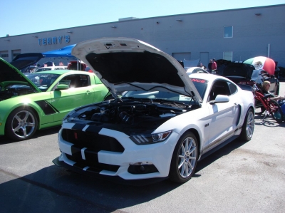 2020 Terry's Ford Car & Bike Show
