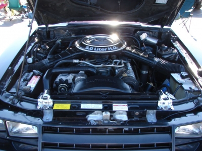 2020 Terry's Ford Car & Bike Show
