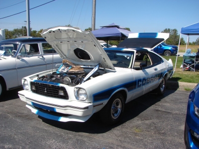 2020 Terry's Ford Car & Bike Show
