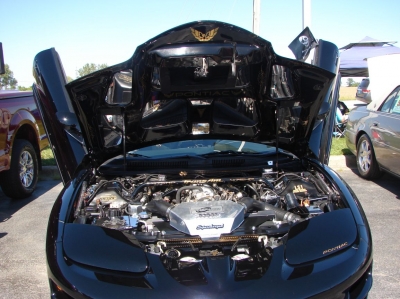2020 Terry's Ford Car & Bike Show
