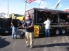 Filename=image472.jpg
Filesize=197KiB
Dimensions=1155x866
Date added=Nov 18, 2020 image472.jpg