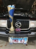 Filename=image494.jpg
Filesize=177KiB
Dimensions=866x1155
Date added=Nov 18, 2020 image494.jpg