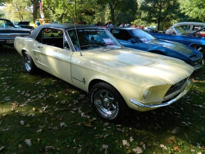 2014 Riverside Garage Car Show
