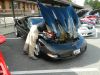 Filename=image030.jpg
Filesize=937KiB
Dimensions=2592x1944
Date added=Oct 23, 2012 image030.jpg