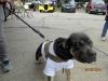 Filename=IMG_0026.JPG
Filesize=145KiB
Dimensions=1600x1200
Date added=Dec 29, 2018 IMG_0026.JPG